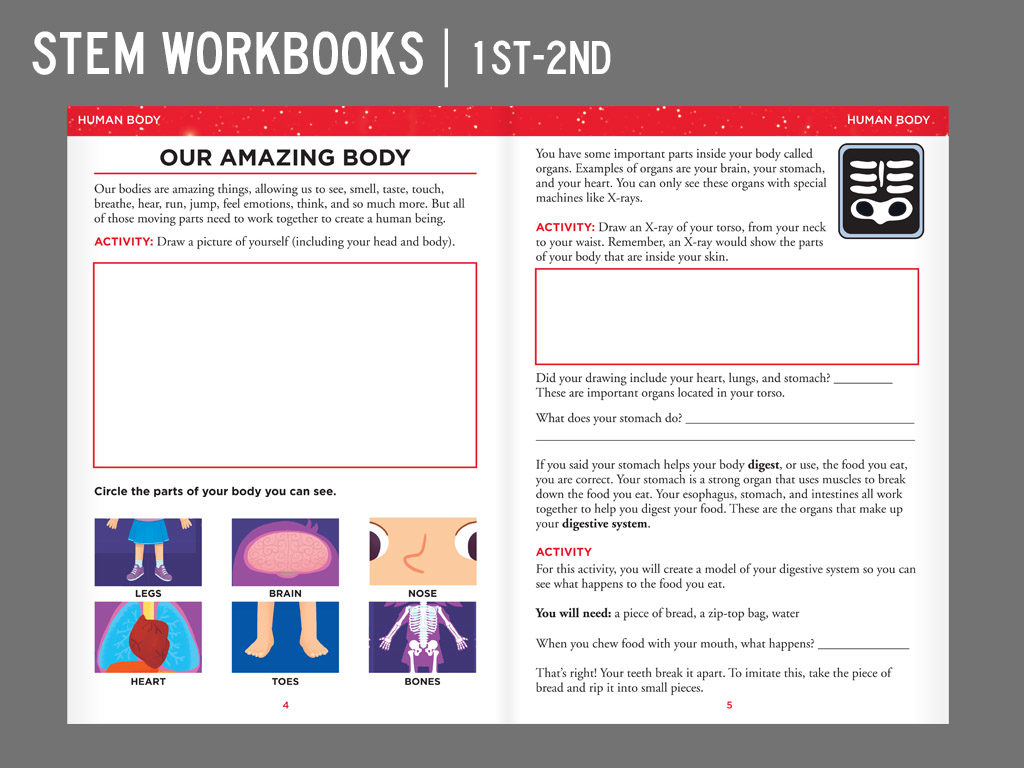 STEM_Workbook_ipad2d