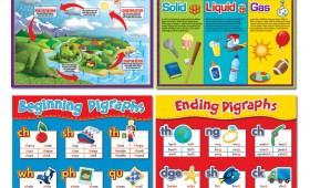 Educational Posters 2010-2011